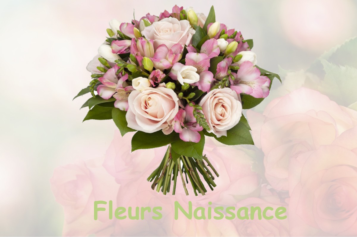 fleurs naissance SAUSSAY-LA-CAMPAGNE