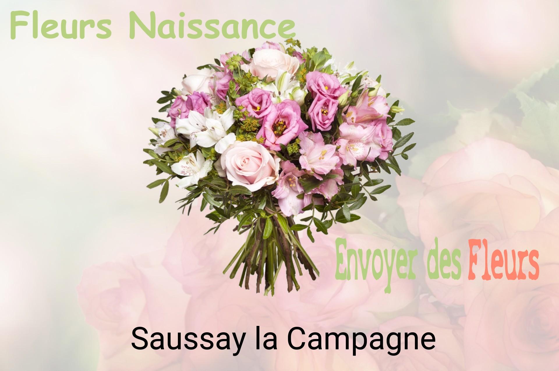 Bouquet de fleurs de naissance livré à Saussay-la-Campagne