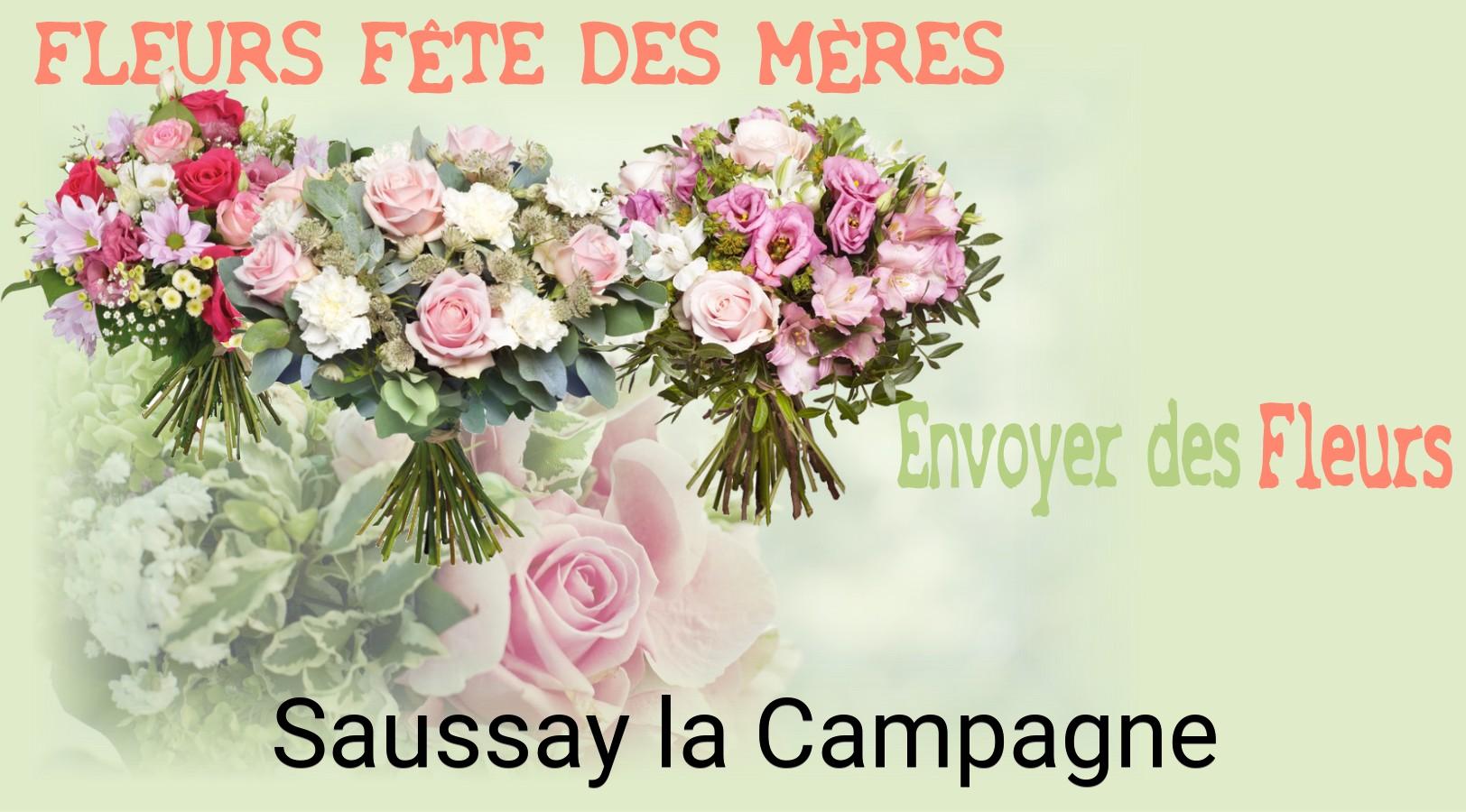 Bouquet de Fête des Mères livré à Saussay-la-Campagne